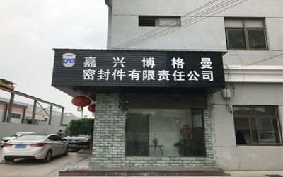Κίνα Jiaxing Burgmann Mechanical Seal Co., Ltd. Jiashan King Kong Branch Εταιρικό Προφίλ
